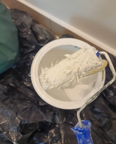 Building Latex Paint