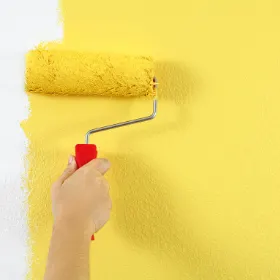 Construction Coatings